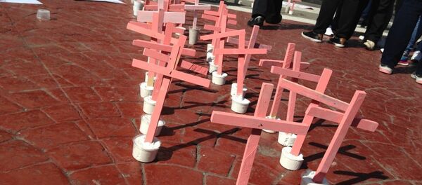 Cruces rojas por mujeres asesinadas en Ecatepec, México Cruces rojas por mujeres asesinadas en Ecatepec, México - Sputnik Mundo