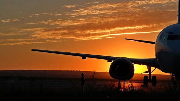 Un avión (imagen referencial) - Sputnik Mundo