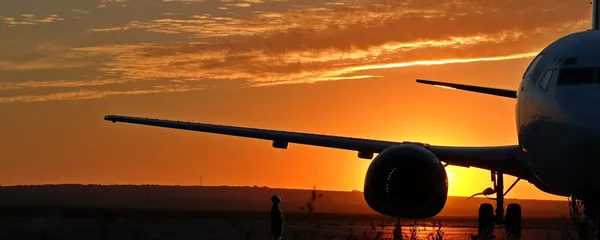 Un avión (imagen referencial) Un avión (imagen referencial) - Sputnik Mundo