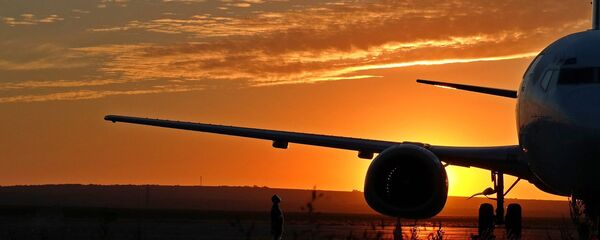 Un avión (imagen referencial) - Sputnik Mundo