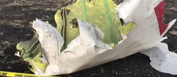 Las imágenes del lugar de la tragedia con el Boeing 737 de Ethiopian Airlines - Sputnik Mundo