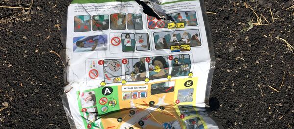 Una instrucción del Boeing 737-8 MAX siniestrado en Etiopía - Sputnik Mundo