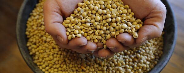 Excedente de soja en EEUU - Sputnik Mundo