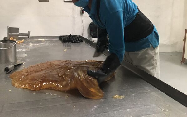 Fabricación de productos de la marca 'La Tía Trini' - Sputnik Mundo