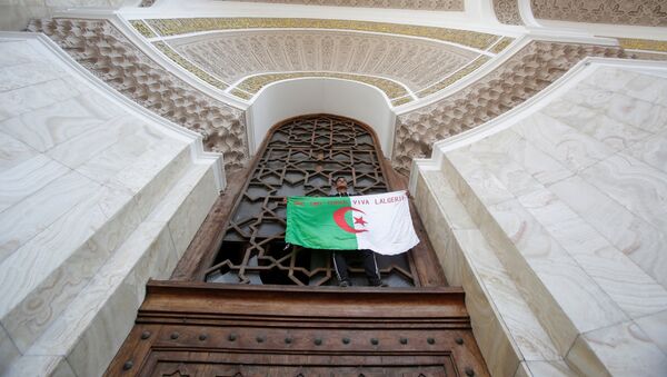 Un manifestante con la bandera de Algeria - Sputnik Mundo