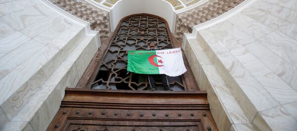 Un manifestante con la bandera de Algeria - Sputnik Mundo