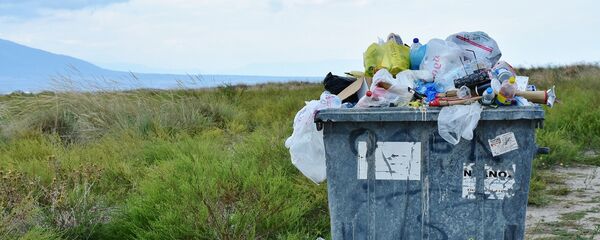 Un contenedor con basura - Sputnik Mundo