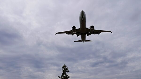 Boeing 737 MAX 8 - Sputnik Mundo