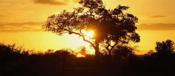 Puesta del sol en Sudáfrica - Sputnik Mundo