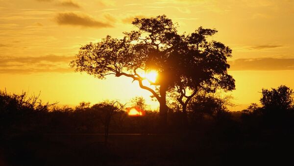 Puesta del sol en Sudáfrica - Sputnik Mundo