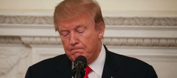 Donald Trump, presidente de EEUU - Sputnik Mundo