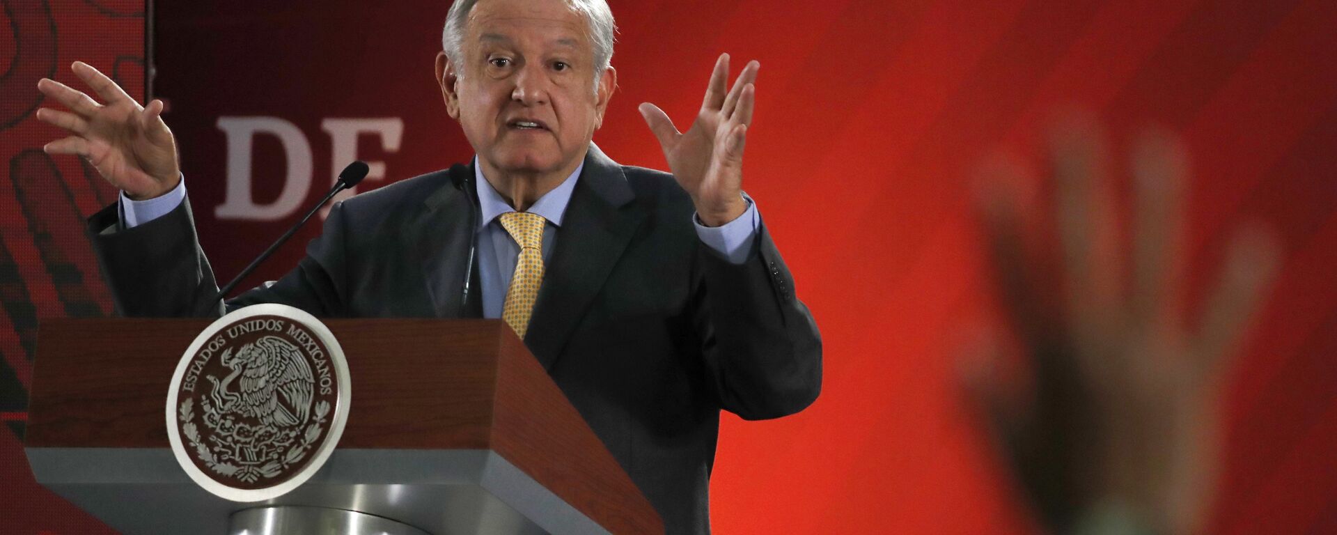 Andrés Manuel López Obrador, presidente de México - Sputnik Mundo, 1920, 08.02.2021