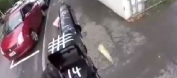 Testigos hablan sobre el atentado en Christchurch - Sputnik Mundo