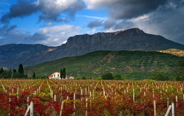 Crimea, a cinco años de la histórica reunificación con Rusia - Sputnik Mundo