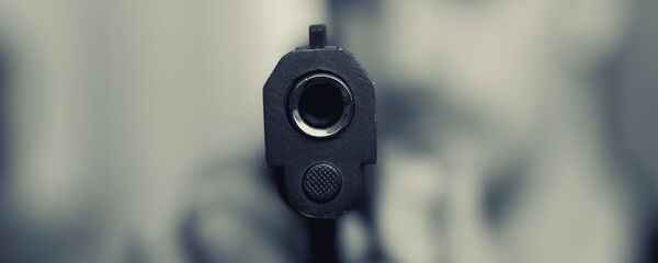 Una pistola (imagen referencial) - Sputnik Mundo