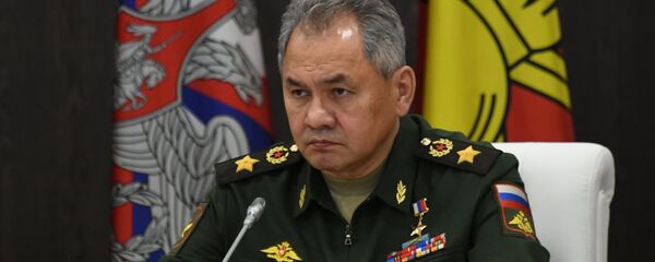 Serguéi Shoigú, ministro de Defensa de Rusia - Sputnik Mundo