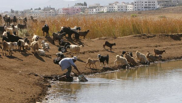 El agua, uno de los recursos más escasos del Medio Oriente - Sputnik Mundo