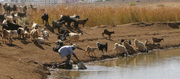 El agua, uno de los recursos más escasos del Medio Oriente - Sputnik Mundo