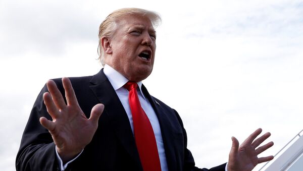 Donald Trump, presidente de EEUU - Sputnik Mundo