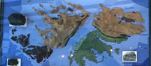 En el museo de Malvinas no solo se aprende de historia. También es posible conocer los aspectos geológicos de las islas. - Sputnik Mundo