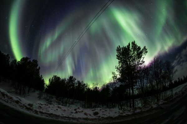 El espectáculo de luz de la naturaleza: descubre las auroras boreales de Múrmansk - Sputnik Mundo