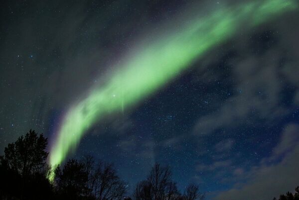 El espectáculo de luz de la naturaleza: descubre las auroras boreales de Múrmansk - Sputnik Mundo