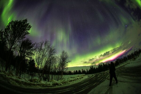 El espectáculo de luz de la naturaleza: descubre las auroras boreales de Múrmansk - Sputnik Mundo