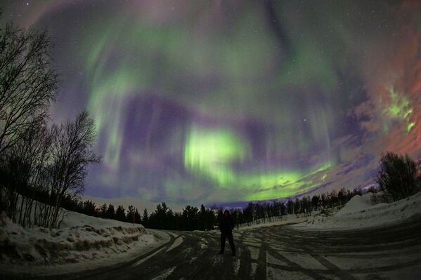 El espectáculo de luz de la naturaleza: descubre las auroras boreales de Múrmansk - Sputnik Mundo