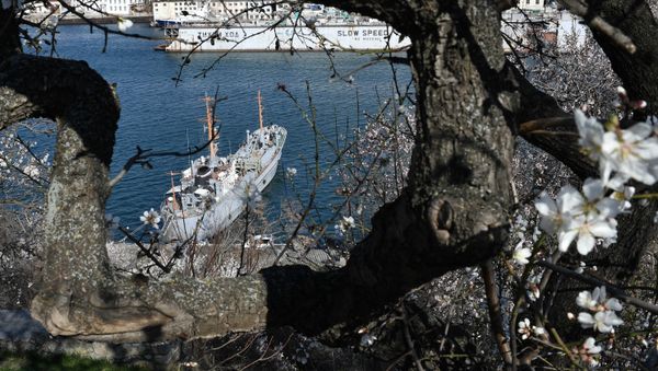 Un barco en Sebastopol, Crimea, Rusia Un barco en Sebastopol, Crimea, Rusia - Sputnik Mundo