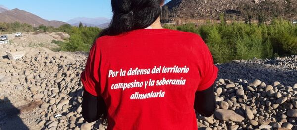 Resistencia civil en Salamanca, Chile, contra la minera Los Pelambres - Sputnik Mundo