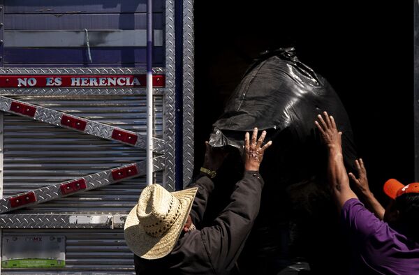 Ciudad de México: Familias de las comunidades desplazadas de Guerrero se preparan para regresar al auditorio municipal de Chichihualco, tras un plantón de 38 días en la capital - Sputnik Mundo