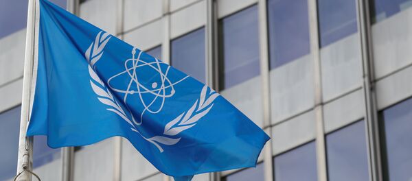 La bandera con el logo de la OIEA - Sputnik Mundo