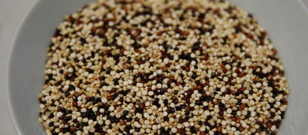 Quinua Quinua - Sputnik Mundo