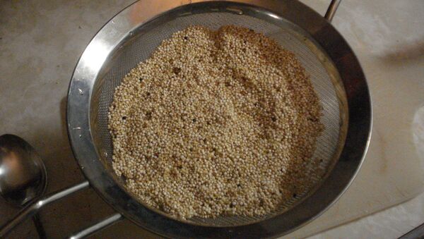 Quinua boliviana - Sputnik Mundo