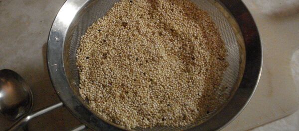 Quinua boliviana - Sputnik Mundo