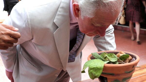 El príncipe Carlos en Cuba - Sputnik Mundo