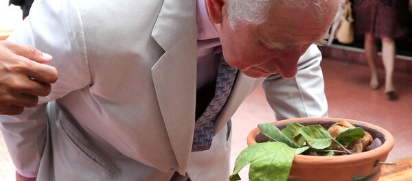 El príncipe Carlos en Cuba - Sputnik Mundo