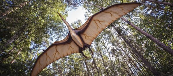 Pterosaurio Pterosaurio - Sputnik Mundo