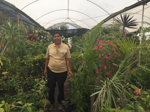 Moisés Mendez Salazar, agricultor de un pequeño vivero artesanal de media hectárea, en los viveros de Atlixco, faldas del volcán Popocatépetl Moisés Mendez Salazar, agricultor de un pequeño vivero artesanal de media hectárea, en los viveros de Atlixco, faldas del volcán Popocatépetl - Sputnik Mundo