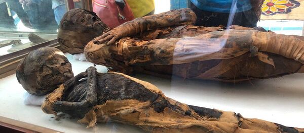 Las momias en una antigua tumba en Egipto Las momias en una antigua tumba en Egipto - Sputnik Mundo