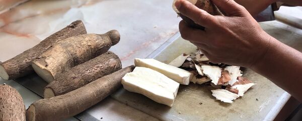 La yuca, o mandioca, es un ingrediente base en muchas cocinas de América Latina; en Venezuela ahora su consumo se ve incrementado por ser una opción nutritiva al alcance - Sputnik Mundo
