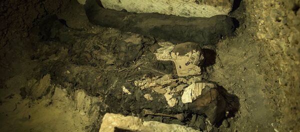 Momias egipcias, foto de archivo Momias egipcias, foto de archivo - Sputnik Mundo