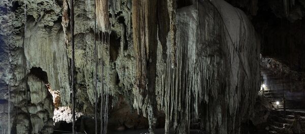 Un cenote de Yucatán (imagen referencial) - Sputnik Mundo