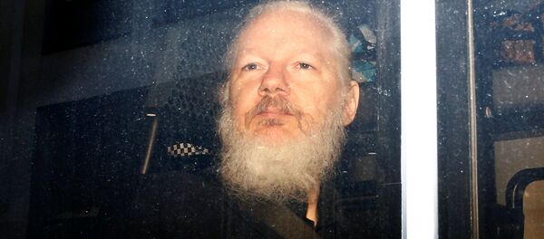Julian Assange, fundador de WikiLeaks tras su detención por la Policía británica - Sputnik Mundo