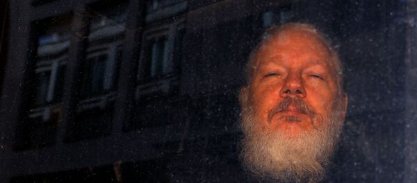 Julian Assange, fundador de WikiLeaks (archivo) - Sputnik Mundo