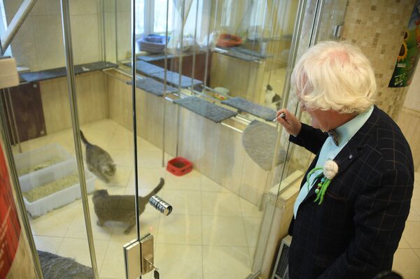 Yuri Kuklachov juega con sus gatos en el 'castillo de cristal' del Teatro de los Gatos de Kuklachov - Sputnik Mundo