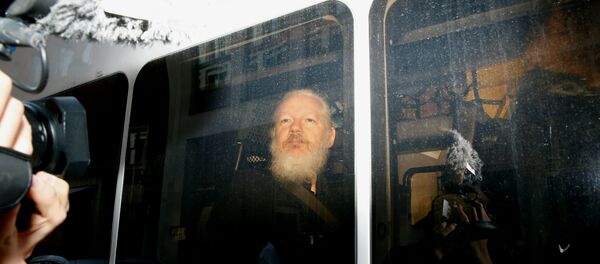 Julian Assange, fundador de WikiLeaks tras su detención por la Policía británica - Sputnik Mundo