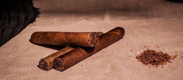 Tabaco, habano - Sputnik Mundo