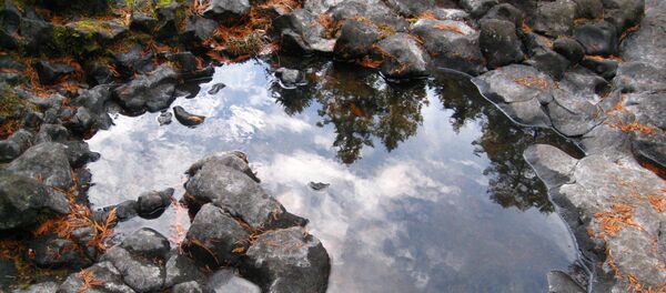 Un charco, imagen referencial - Sputnik Mundo