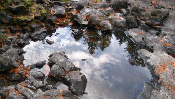 Un charco, imagen referencial - Sputnik Mundo